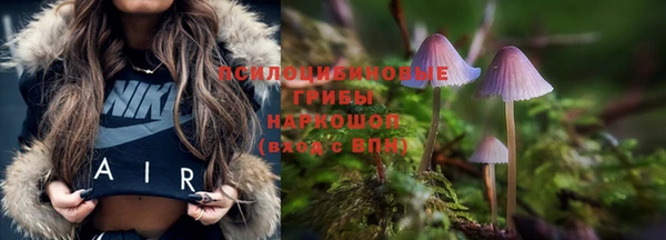 spice Алексин