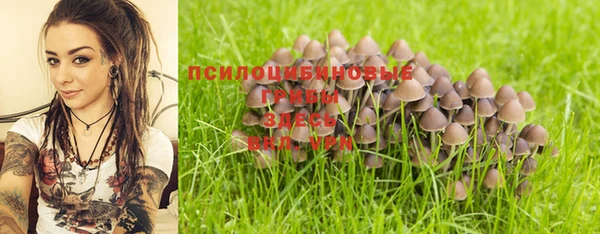spice Алексин