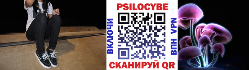 где найти   Салават  Галлюциногенные грибы Psilocybine cubensis 